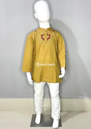 Aarong Embroidered Cotton Punjabi