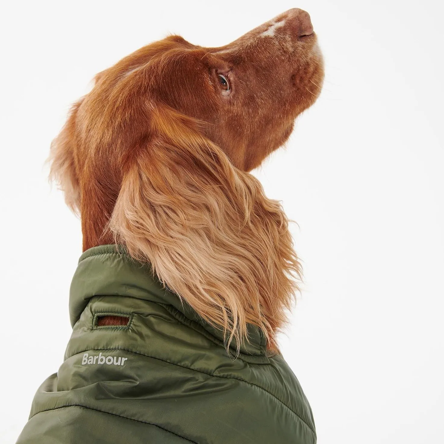 Barbour Baffle Quilted Dog Coat