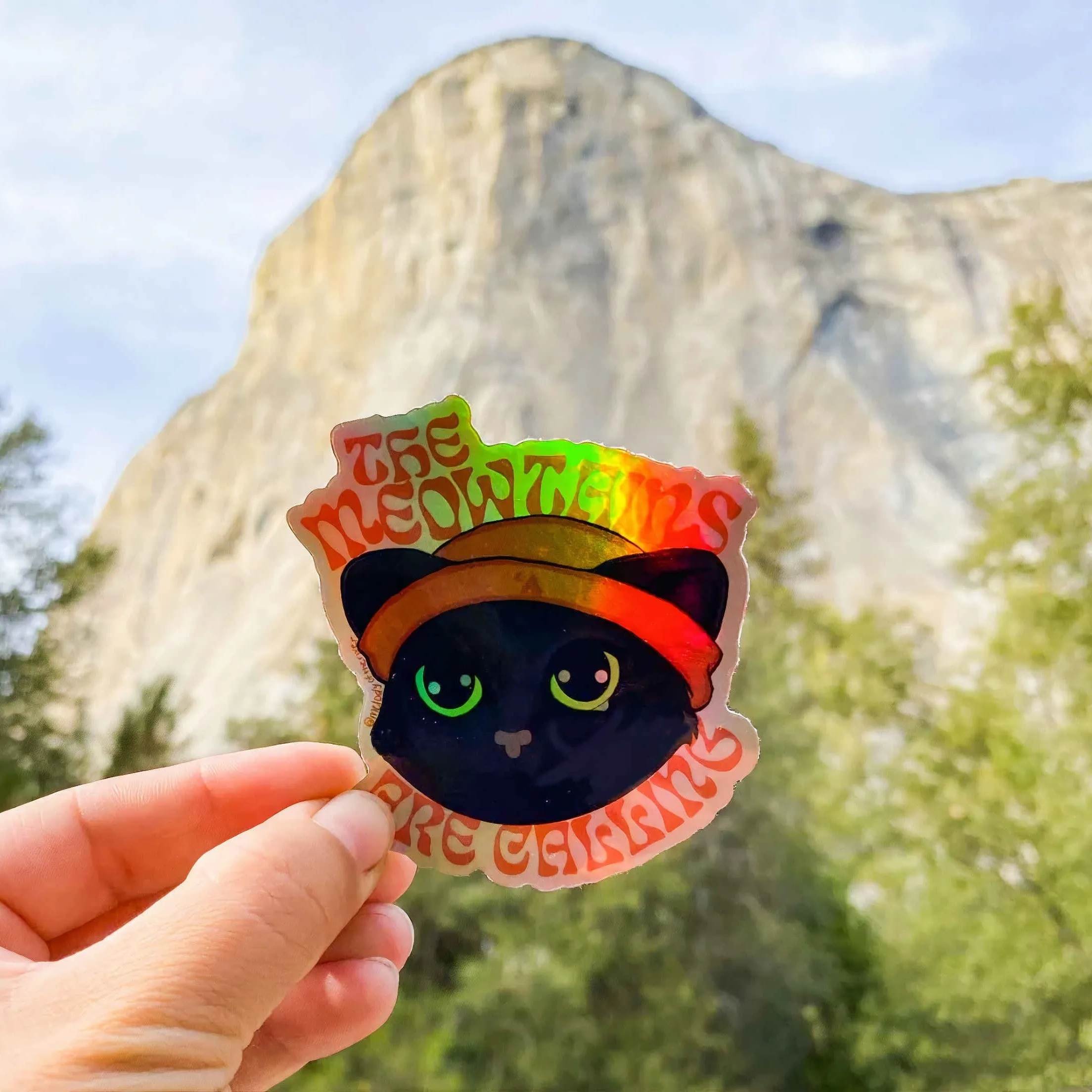Holographic Stickers