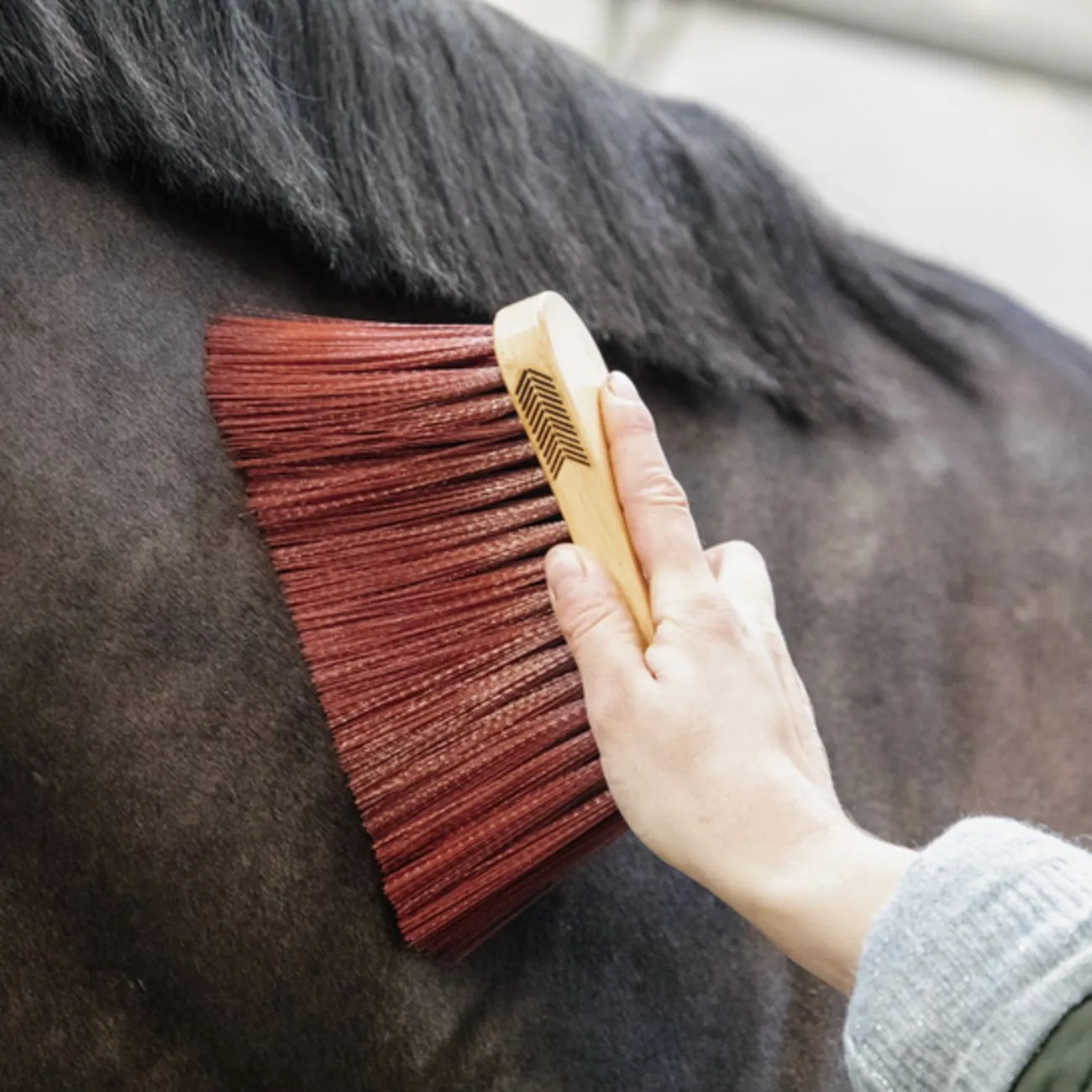 KENTUCKY MEDIUM LONG BRUSH